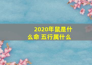 2020年鼠是什么命 五行属什么